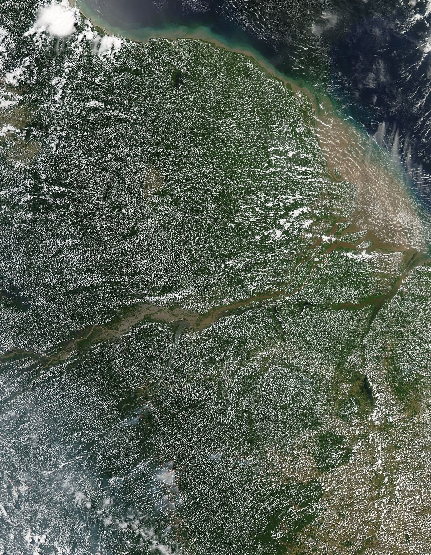 aerial view over a dense rainforest canopy